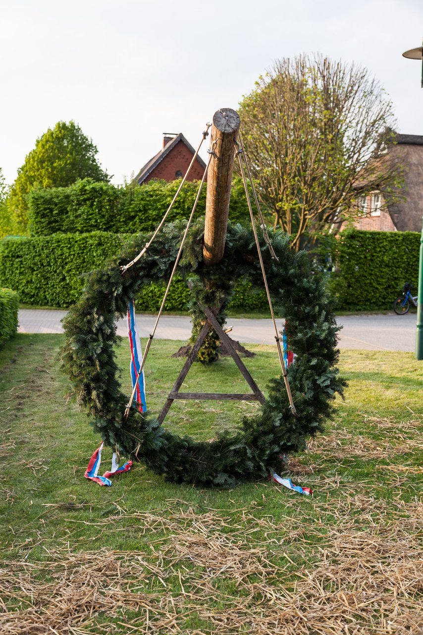 Bild 119 - Wiemersdorfer Maibaum